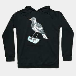 Magpie-lark Hoodie